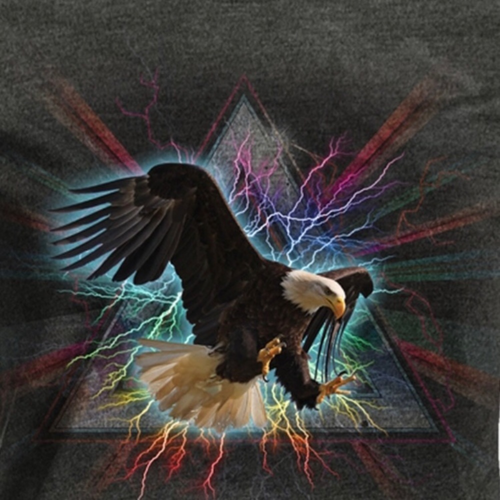 Eagle Dimension - The Mountain Graphic TShirt Size Medium